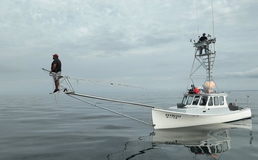 Harpoon Hunters 
 Pure Verzweiflung