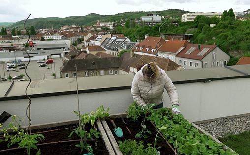 Österreich-Bild aus dem Landesstudio Niederösterreich | TV-Programm von 3sat