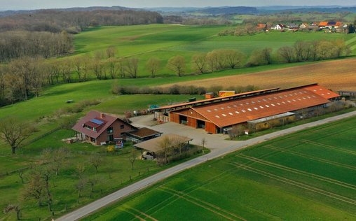 Hofgeschichten: Leben auf dem Land 
 Aus Liebe zum Holz - Nachhaltig tischlern