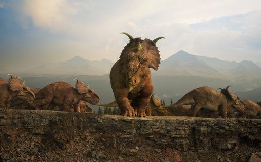 Terra X 
 Die große Reise