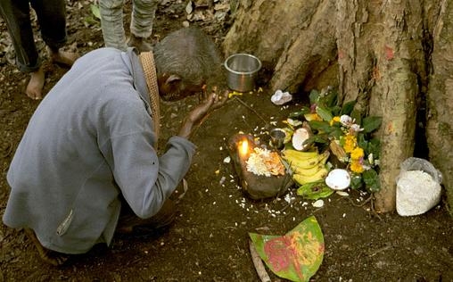 Die Bienenflüsterer 
 Indien: Flüssiges Gold in schwindelnder Höhe