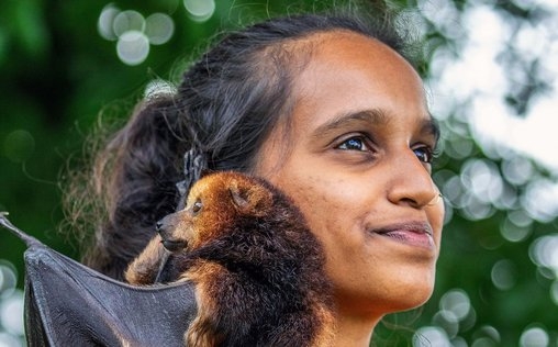 Wilde Trauminseln 
 Mauritius und La Réunion