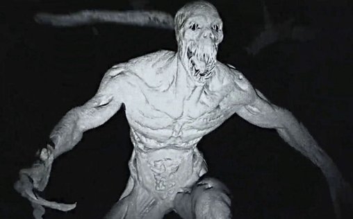 Unheimliche Videos 
 Der Geist am Straßenrand