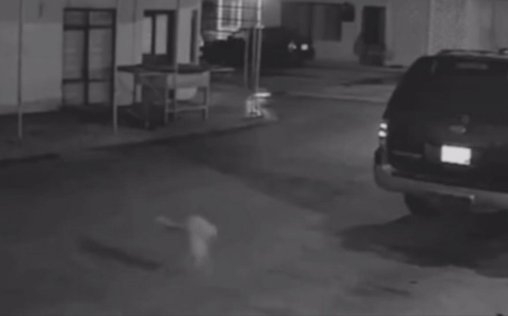 Unheimliche Videos 
 Spuk im Horror-Kino