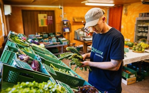 Wozu noch ackern? Landwirtschaft in Gefahr 
 Erntezeit: Spielt das Wetter mit?