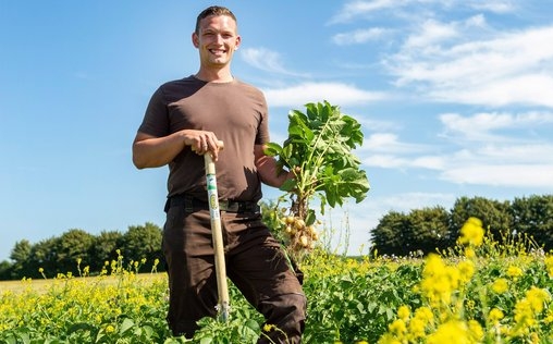 Die Nordreportage 
 Kartoffeln - die perfekte Knolle: Zwischen Zucht, Labor und Acker
