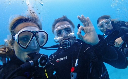 Hannes Jaenicke: Im Einsatz für Delfine 
 Die illegale Jagd