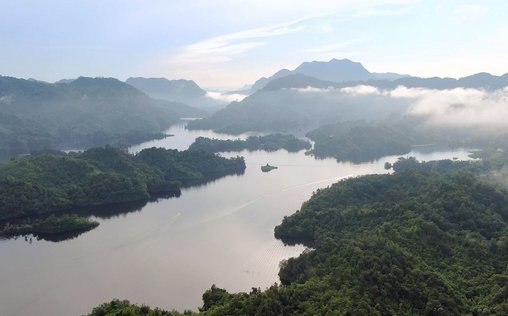 Neuseeland - Wald der Riesen | TV-Programm von arte