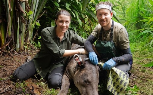 Terra X 
 Costa Rica - Das pure Leben?