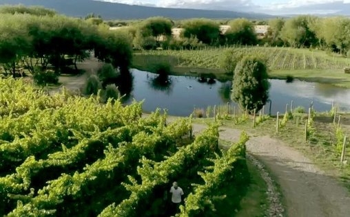 Die wunderbare Welt der Weine 
 Patagonien: Weinbau am Ende der Welt