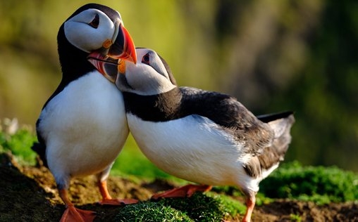 Großbritannien - Im Rhythmus der Natur 
 Küste Pembrokeshire
