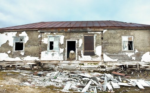 Terra X 
 Wilder Norden