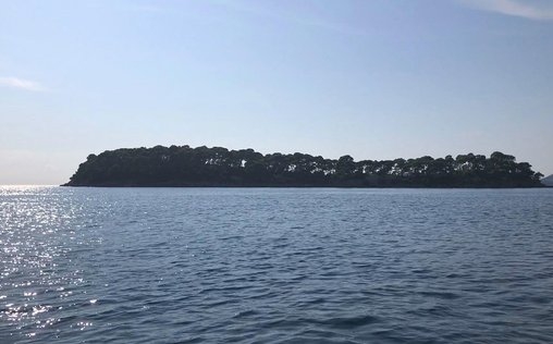 Mysteriöse Inseln 
 Die Hirschinseln