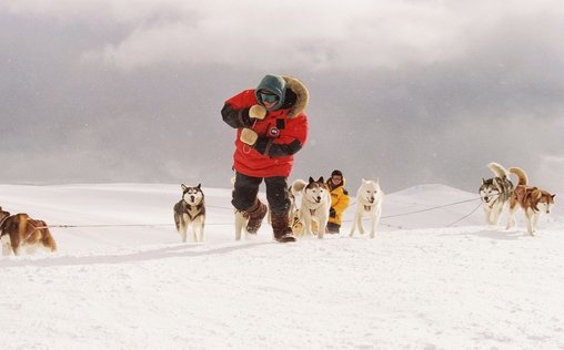 Antarctica - Gefangen im Eis 
 