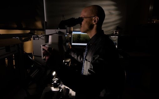 Medical Detectives - Geheimnisse der Gerichtsmedizin 
 Auf Leben und Tod