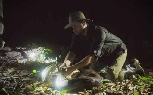 Expedition X - Dem Unheimlichen auf der Spur 
 Yacumama – die Mutter des Wassers