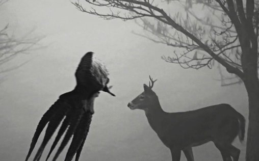 Unheimliche Videos 
 Terrorisiert von einem Schatten