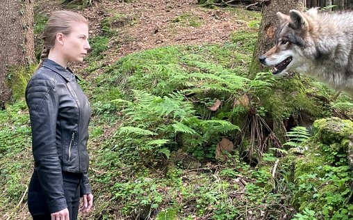 Die Toten vom Bodensee 
 Unter Wölfen