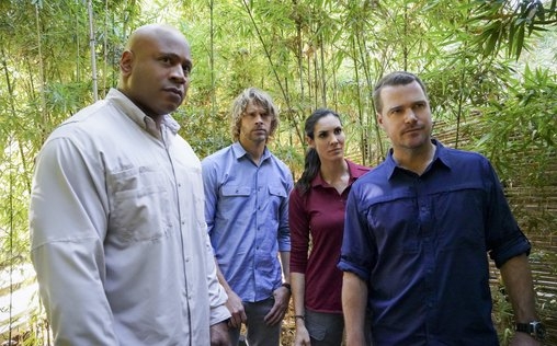 Navy CIS: L.A. 
 Der Tiger ist hungrig