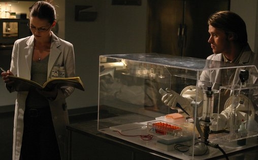 Dr. House 
 Fremd - und nicht gut gegangen