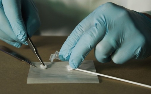 Medical Detectives - Geheimnisse der Gerichtsmedizin 
 Feinde im eigenen Haus