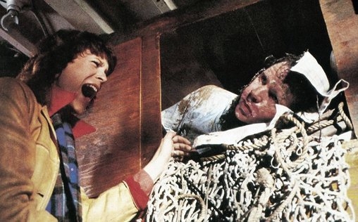 The Fog - Nebel des Grauens 
 