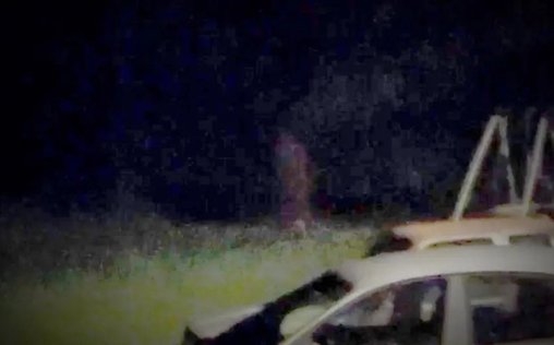 Unheimliche Videos 
 Außerirdische Himmelsfische