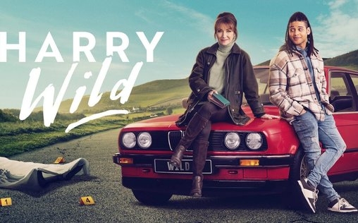 Harry Wild - Mörderjagd in Dublin 
 Der Feind in meiner Soap