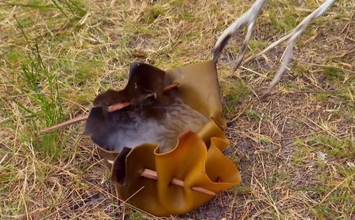 Meine Frau, die Wildnis und ich 
 In der Steppe Botswanas