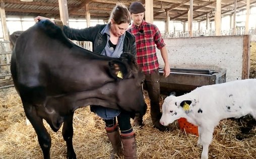 Die Nordreportage 
 Anna und die Edelrinder - Eine Züchterin geht ihren Weg