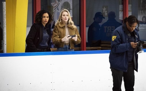 FBI: Most Wanted 
 Pflegekinder