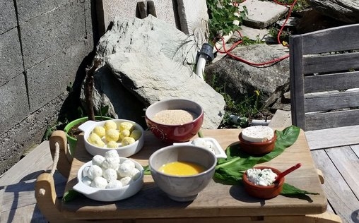 Die Seele des Essens 
 Ziegenkäse auf Reisen