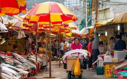 Märkte der Welt 
 Südkorea: Der Fischmarkt