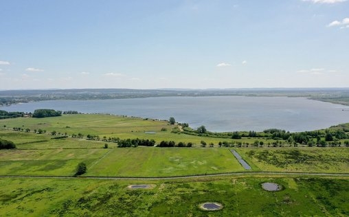 Uferschnepfen - Unterschätztes Federvieh 
 
