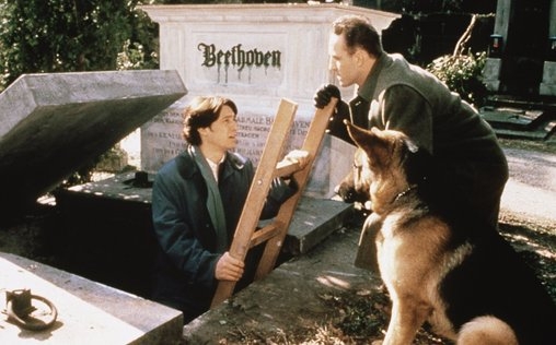 Kommissar Rex 
 Tanz auf dem Vulkan