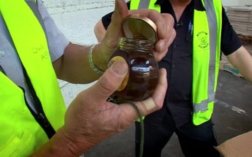 Border Patrol New Zealand - Einsatz an der Grenze 
 Verdächtige Gerüche