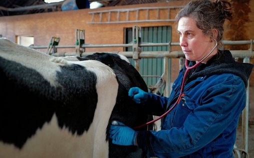Die Nordreportage 
 Wenn Kühe Hilfe brauchen - Zwei Tierärztinnen im Stall-Einsatz