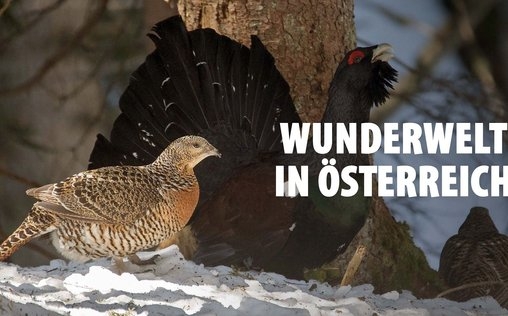 Das Tote Gebirge: Wunderwelt in Österreich 
 