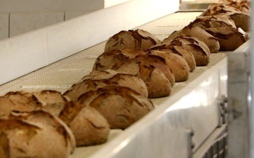 Die Nordreportage 
 Sauerteig & Honigkruste