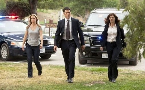 Criminal Minds 
 Gestohlene Geschichten